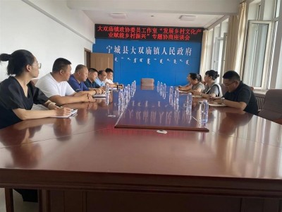 大双庙镇开展“发展乡村文化产业 赋能乡村振兴”协商议政活动